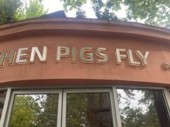 -WHEN PIGS FLY当猪飞