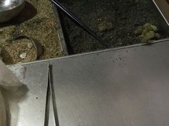 -叶氏麻糍(鼓浪屿店)