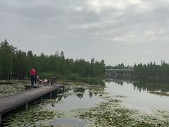 -白鹭湾湿地公园