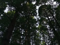 -达活泉公园