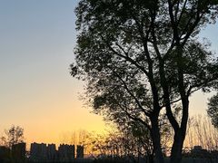 -府河摄影公园