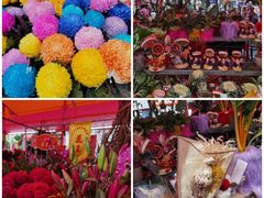 -越秀西湖花市(广州城市广场花卉店)