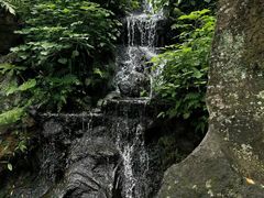 -海口火山口国家地质公园