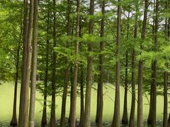 -苏州太湖国家湿地公园