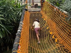 -呀路古热带植物园