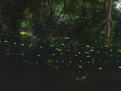 -华南国家植物园-售票处