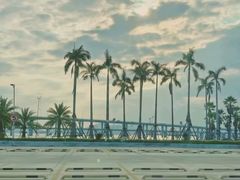 -海堤纪念公园