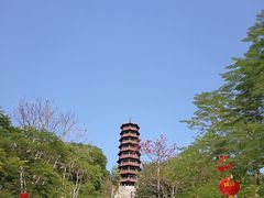 -红花山公园