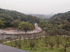 -枫香湖儿童公园