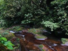 -碧峰峡风景区