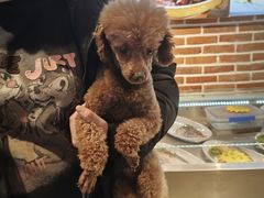 -渔掌门(铁东店)