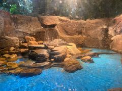 -多彩贵州城极地海洋世界