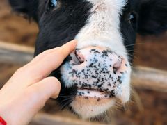 -海兰云天度假区温泉