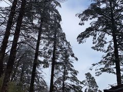 -峨眉山风景名胜区
