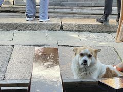 -逢源酒楼(东大街店)