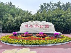 -莲花池公园