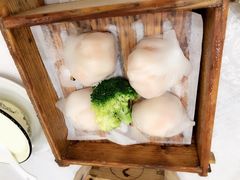 -鹅城