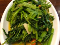 -荷花泰菜(东方新天地店)