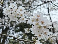 -鸡鸣寺