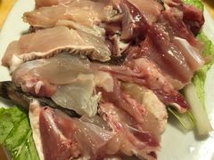 -金砂阿洲鱼册店
