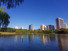 -黄兴公园