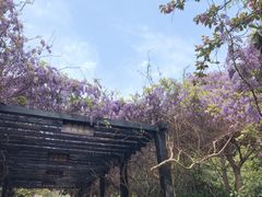 -九龙潭景区