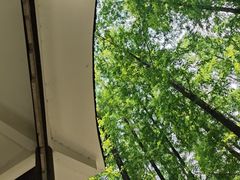 -南京金牛湖风景区