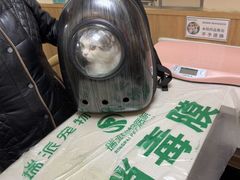 -瑞派宠物医院·24h·骨外科·皮肤科·全科宠物医疗转诊中心(沈阳浑南院)