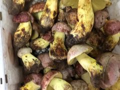 -双喜农庄·菌香园(安居家园店)