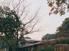 -中国茶叶博物馆(双峰馆区)