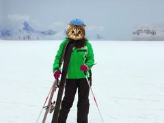 -哈尔滨热雪奇迹