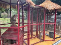 -武汉紫薇都市田园