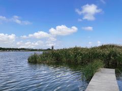 -春花秋色城市公园