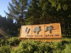 -塞罕坝国家级自然保护区