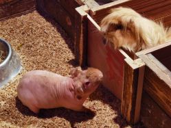 -酷嗒动物文化乐园(cutezoo西溪乐天城店)