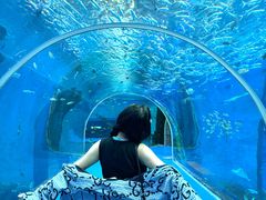 -波塞冬旅游度假区