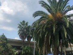 -宁波九龙湖开元度假村
