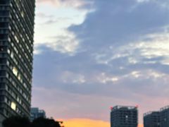 -木塔寺遗址生态公园