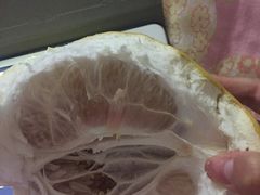 -香满锅老北京羊蝎子火锅·家常菜(新街口店)