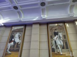 -华侨城洲际大酒店·宴会厅