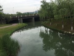 -尚贤河湿地