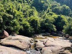 -广州白江湖森林公园