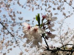 -苏州上方山国家森林公园