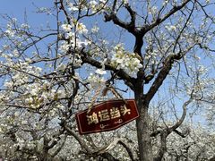 -江苏三台山国家森林公园