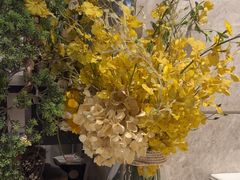 -大渔铁板烧(花园道店)