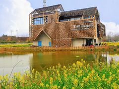 -桤木河湿地公园
