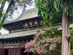 -报恩寺(平武县)