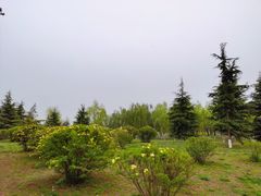 -洨河生态公园