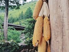 -林坑古村落