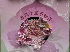 -仁和公园(顺义区)